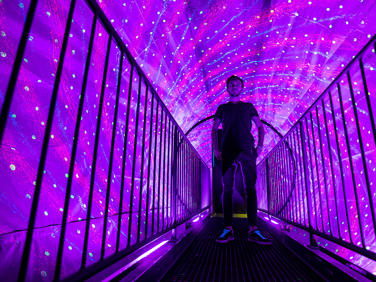 moi exhibitssingle gallery3 rooms